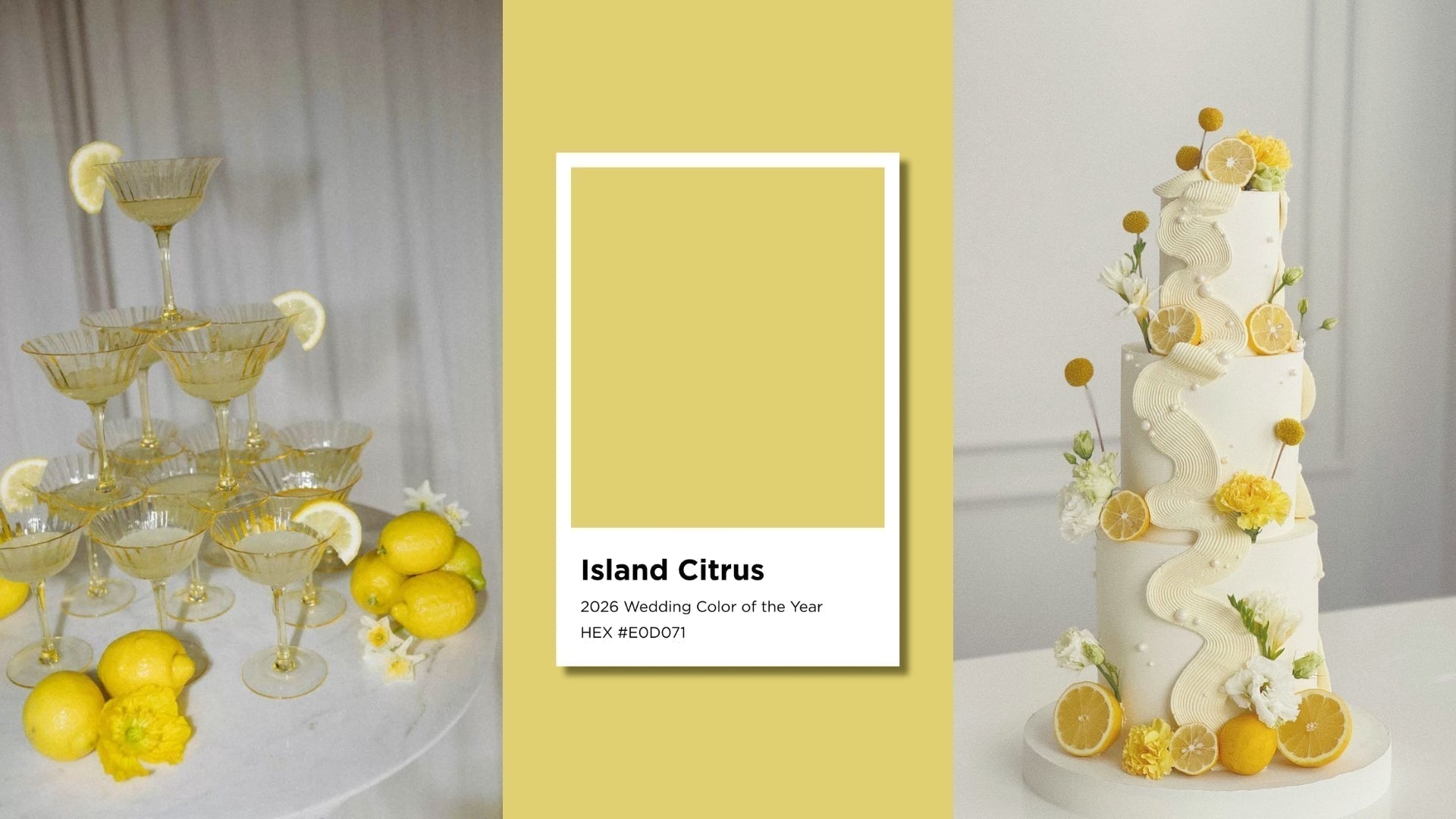 Island Citrus Wedding Color of the Year 2026: Meaning, Decor Ideas 