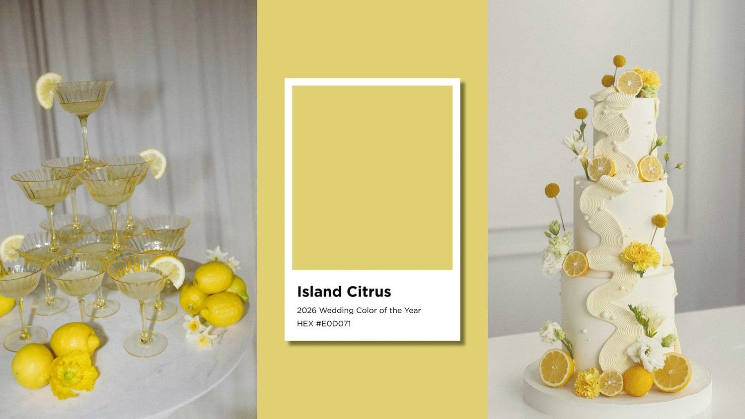 Island Citrus Wedding Color of the Year 2026: Meaning, Decor Ideas & How to Use It - ELENA HONCH