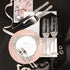 Best Quinceañera Gift Set Ruta Blush - ELENA HONCH